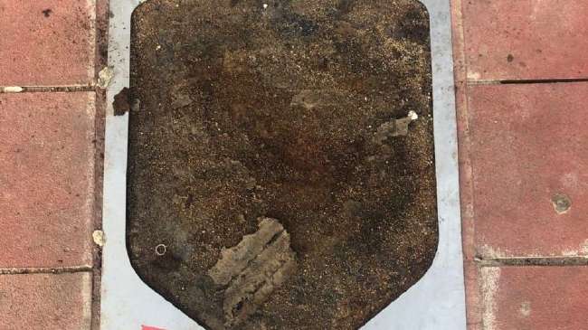 新西兰vs埃及全场录像_新西兰vs埃及世界杯直播_新西兰vs埃及免费直播