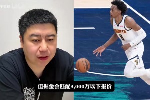 湖人能抢到掘金沃特森吗？看看大史怎么分析！