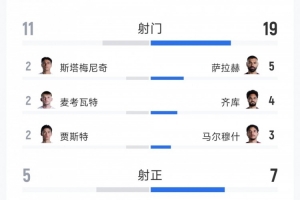 埃及3-1新西兰全场数据:射门比19-12,射正比7-5,得分机会比5-3