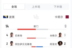 波黑对阵卡塔尔全场数据：射门比14-9 射正比5-3 角球比5-5 黄牌0-1